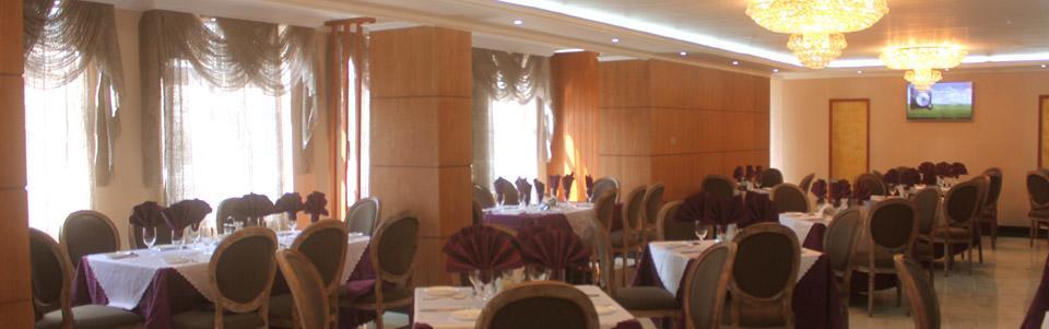 Tirar International Hotel Addis Ababa Luaran gambar